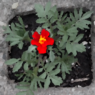 A bright marigold in a desaturated image